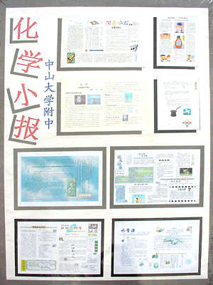 13、化学小报
