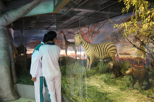 高一学生参观中大生物博物馆