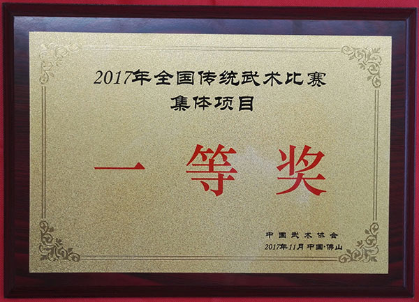 决战功夫之巅：我校武术健儿全国赛场争金夺银