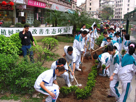 春风行动----团员干部到怡乐路参加植树活动