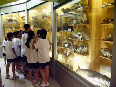 起始年级学生参观中山大学生物博物馆