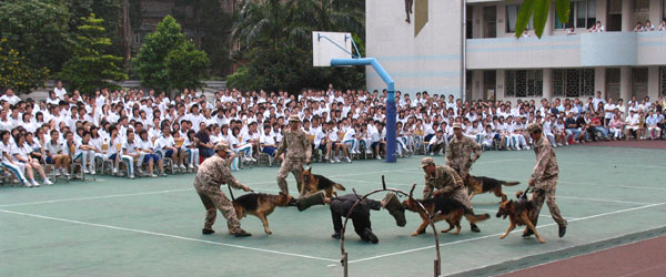 海珠区特警中队来我校表演展示