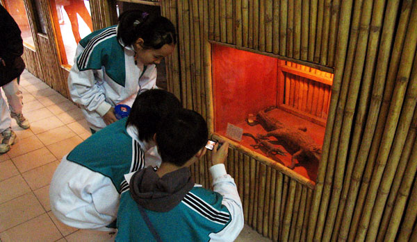 利用资源拓宽视野，初一高一年级参观中大生物博物馆