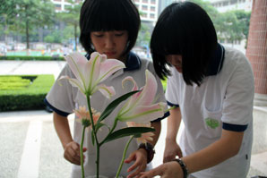 万紫千红总是春