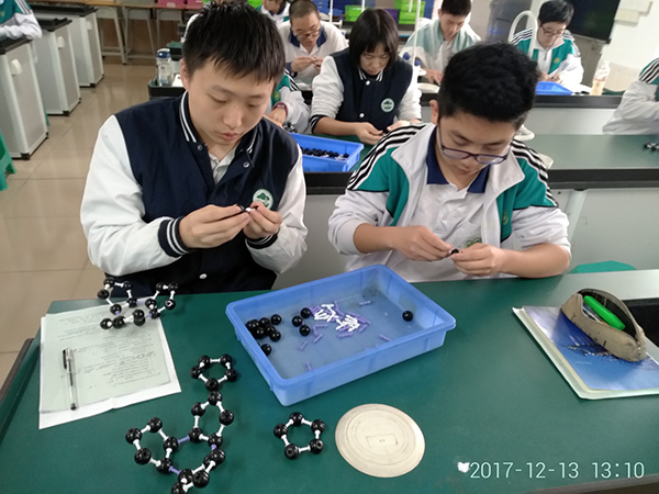 我校学生喜获2017年度全国中小学科学教育活动金奖