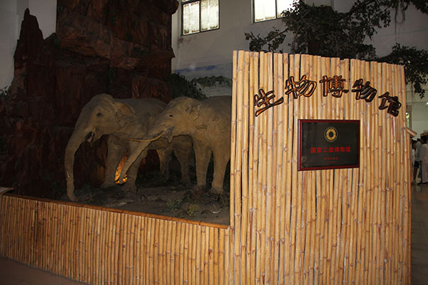 小小生物馆，缤纷大世界——记中山大学生物博物馆之行