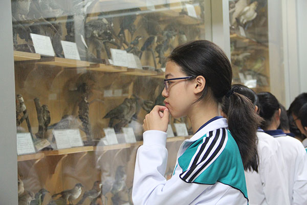 小小生物馆，缤纷大世界——记中山大学生物博物馆之行