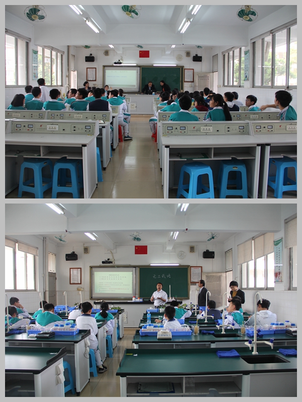 深度•高度•温度 — 中大附中教学开放日速写