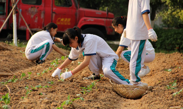 高二年级学农顺利结束 