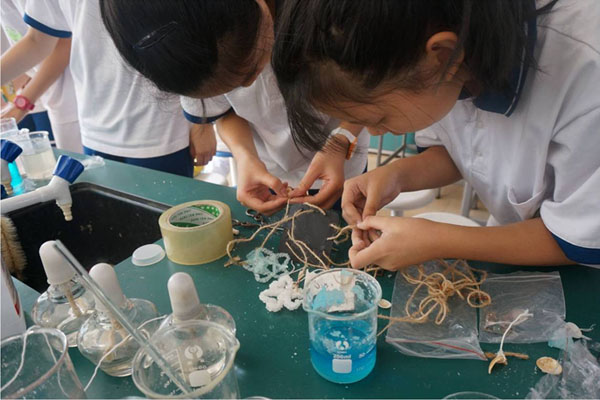 见证晶体的成长 ——记大晶体制作比赛