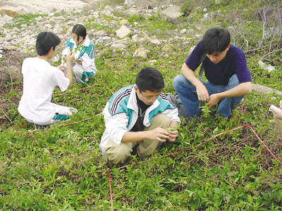 8、生物科技实验活动